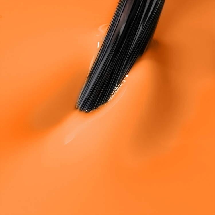 p23.jpg