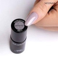 IMG_6200.jpeg